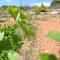 Villa Karmilos - A family Villa near the cretan sea and the mountains
