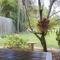 2 51 Carlo Road Rainbow Beach