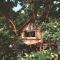 Mizuno San's Tree House - Gimje