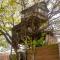 Mizuno San's Tree House - Gimje