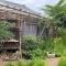 Mizuno San's Tree House - Gimje