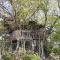 Mizuno San's Tree House - Gimje