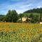 I Girasoli San Gimignano Apartments