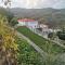 Quinta de Travassinhos- Douro Valley & Spa