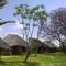 Frans Indongo Lodge