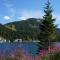 Chalet Bergliebe Turrach