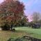 Mountbatten Shepherds hut & Buckhurst Shepherds hut