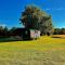 Mountbatten Shepherds hut & Buckhurst Shepherds hut