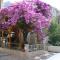 Apartment Letica