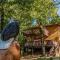 Lil' Treehouse Cabin - Ridgedale
