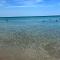 San Lorenzo Holiday