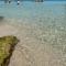 San Lorenzo Holiday