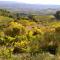 Mont-Ventoux, Provence, Appartement avec vue panoramique et piscine - 乌韦兹河畔莫朗
