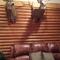 Deer Mountain Lodge & Wilderness Resort