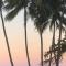 Tropical paradise