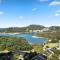 Royal Palm 19