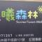晨曦森林民宿 - 凤林镇