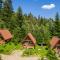 Osonnya Karpaty 4* - 斯基希德尼萨