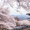 ANDO HOTEL NARA Wakakusayama -DLIGHT LIFE & HOTELS- - Nara