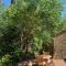 Parulia Country House