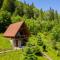Osonnya Karpaty 4*