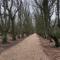 Dorpsdijk 49, Vrouwenpolder vakantie