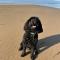 7 Putsborough - Luxury Apartment at Byron Woolacombe, only 4 minute walk to Woolacombe Beach! - 伍拉科姆
