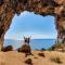 Villa Biagio 1945 - doppio terrazzo panoramico vista mare immersa nella natura con parco giochi