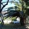 finca dos Mares
