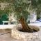 Damaskis Kassiopi Studios