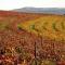 Mooiplaas Wine Estate