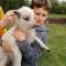 Camping La Loire Fleurie