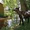 Camping La Loire Fleurie