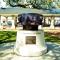 Unit 3206 - Ocean & Racquet Resort
