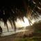 Holiday Beach Lumia