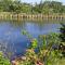 Lakeview Villa Homestay
