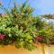 Bougainvillea House