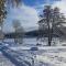 Waldtwin 1 Titisee (W11) + Hochschwarzwald Card - Titisee-Neustadt