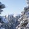 Waldtwin 1 Titisee (W11) + Hochschwarzwald Card - Titisee-Neustadt