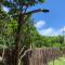 Bons Ventos Camping e Glamping