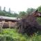 Le Chalet du Hohwald- Piscine Intérieure chauffée - Proche Champ du Feu