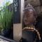 Unit 6 Maui Ohana Modern Studio