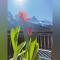 Il Terrazzo Sulle Dolomiti - 西比纳