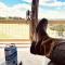 Boerne Mountain Retreat
