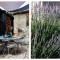 Rustic fireplace hotel comfort Jaccuzi dog friend - Bourg-Saint-Maurice