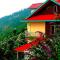 Mountain View New Kufri - Cheog