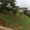 BF Dlamini Guesthouse