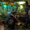 Black Llama Hostel Miraflores