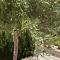 Detached holiday house, 2 bedrooms, private garden, pool