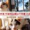 Alishan Sunrise B&B